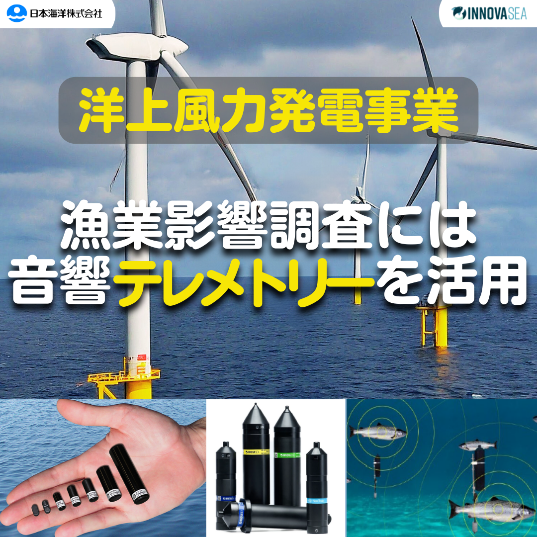 洋上風力発電事業における漁業、生物への影響評価に音響テレメトリ―機器の活用をご提案します